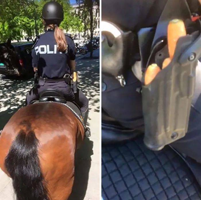 Norwegian Police
