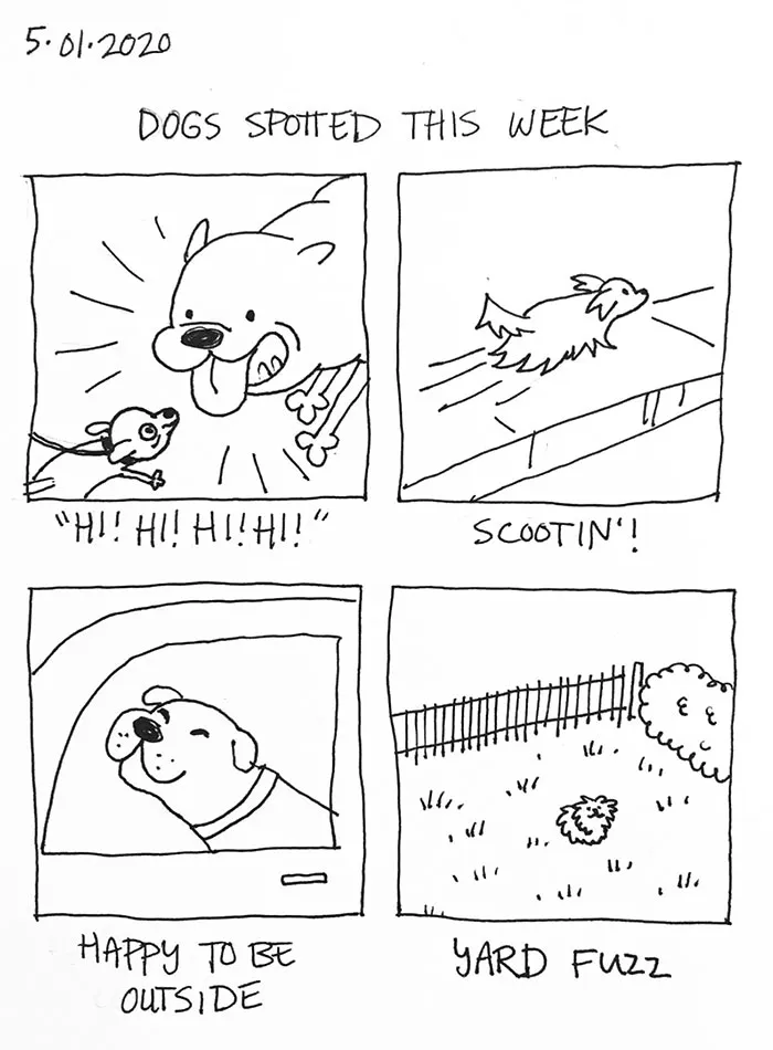 Artist Illustrates The Personalities Of Dogs She Spots Every Week In "The Good Boy Report" (35 Pics)