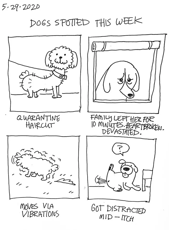 Artist Illustrates The Personalities Of Dogs She Spots Every Week In "The Good Boy Report" (35 Pics)