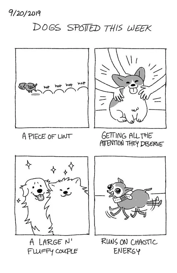 Artist Illustrates The Personalities Of Dogs She Spots Every Week In "The Good Boy Report" (35 Pics)