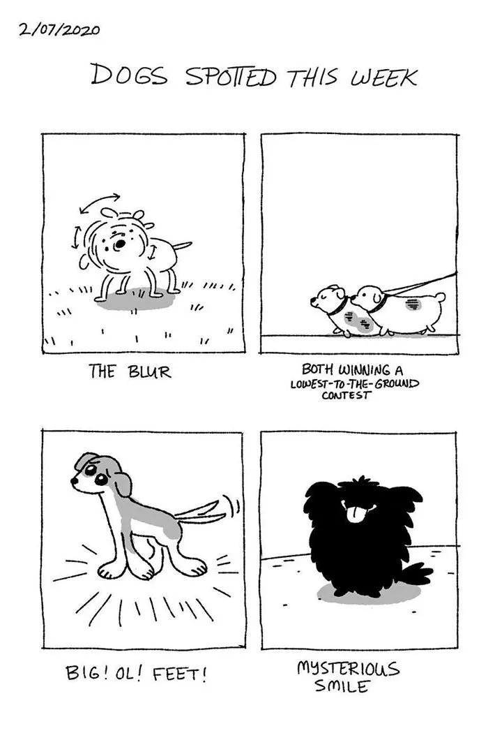 Artist Illustrates The Personalities Of Dogs She Spots Every Week In "The Good Boy Report" (35 Pics)