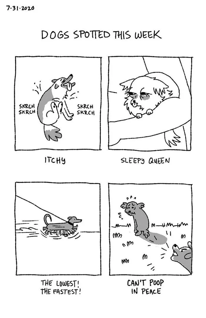 Artist Illustrates The Personalities Of Dogs She Spots Every Week In "The Good Boy Report" (35 Pics)