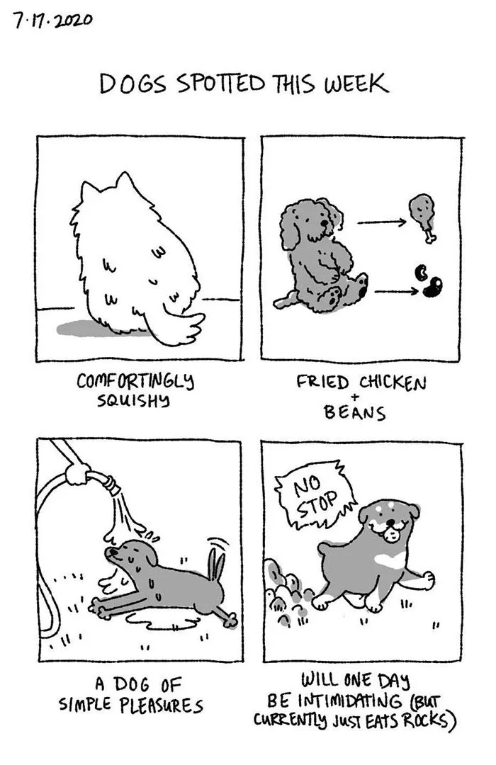 The Good Boy Report