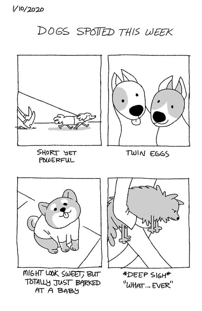 Artist Illustrates The Personalities Of Dogs She Spots Every Week In "The Good Boy Report" (35 Pics)