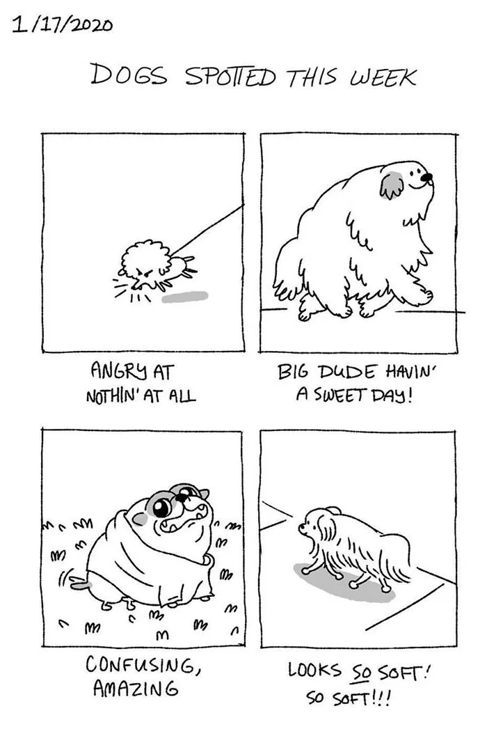 Artist Illustrates The Personalities Of Dogs She Spots Every Week In "The Good Boy Report" (35 Pics)