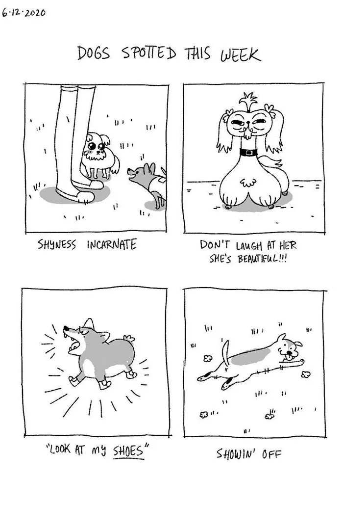 Artist Illustrates The Personalities Of Dogs She Spots Every Week In "The Good Boy Report" (35 Pics)