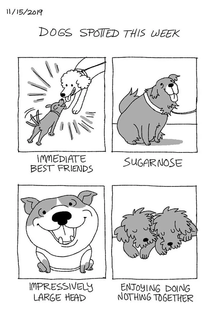 Artist Illustrates The Personalities Of Dogs She Spots Every Week In "The Good Boy Report" (35 Pics)