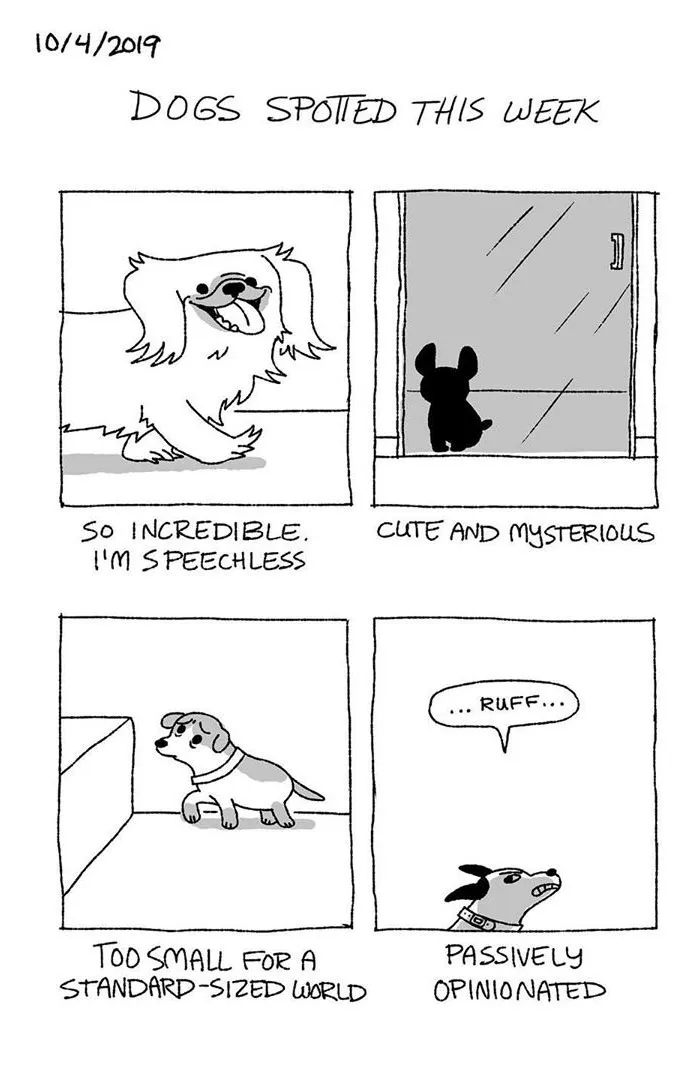 Artist Illustrates The Personalities Of Dogs She Spots Every Week In "The Good Boy Report" (35 Pics)