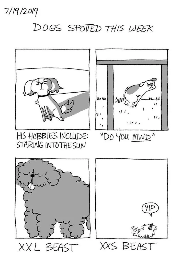 Artist Illustrates The Personalities Of Dogs She Spots Every Week In "The Good Boy Report" (35 Pics)