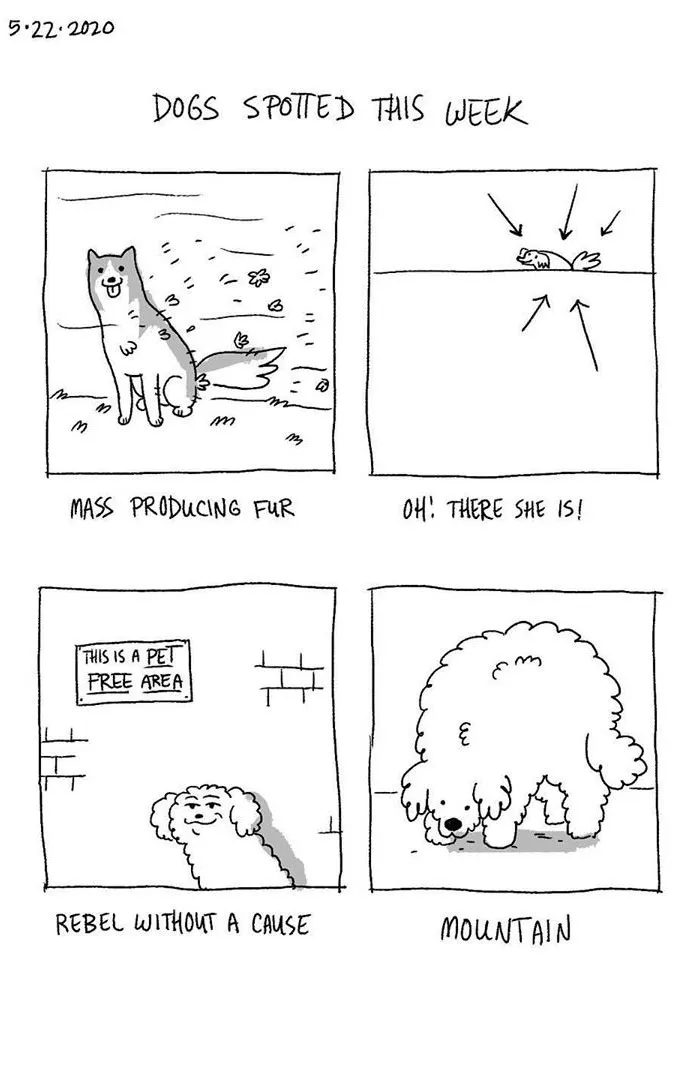 Artist Illustrates The Personalities Of Dogs She Spots Every Week In "The Good Boy Report" (35 Pics)