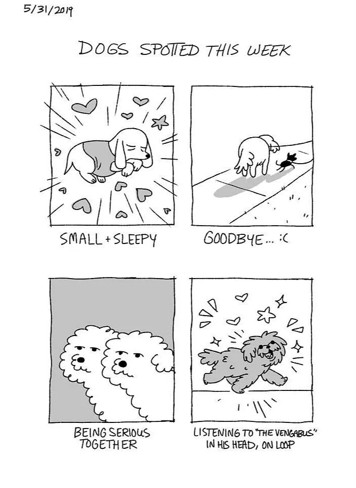 Artist Illustrates The Personalities Of Dogs She Spots Every Week In "The Good Boy Report" (35 Pics)