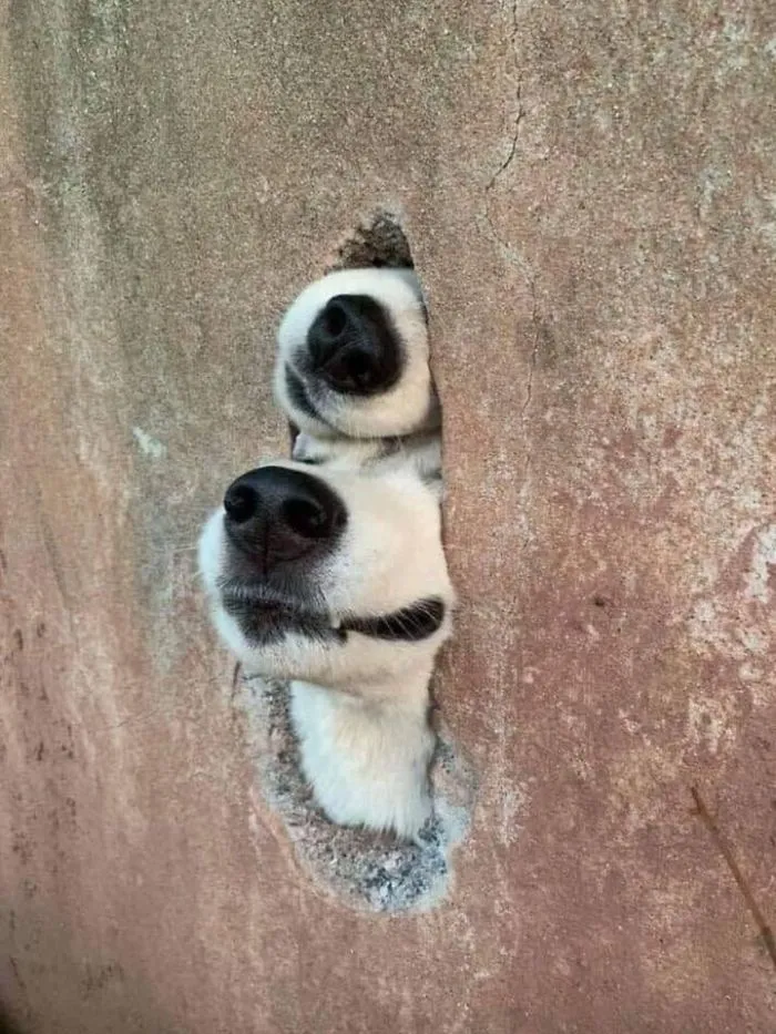 Not Sure If They Saw Me