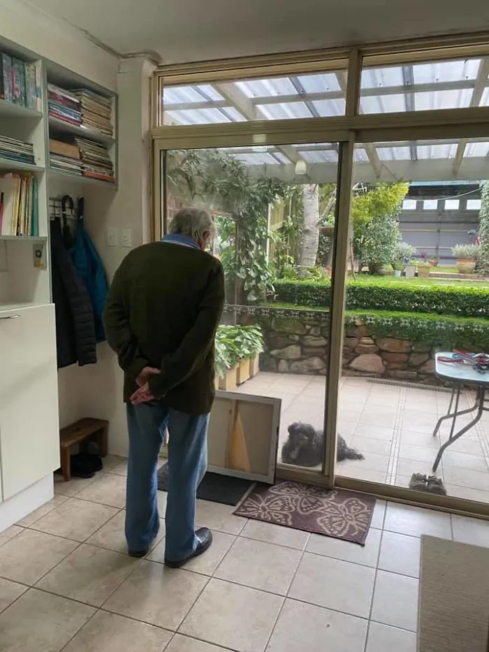 My Sister Went To Visit Our Grandparents Today And Our Grandfather (Who Unfortunately Has Dementia) Felt Really Sad For The Dogs Who Had To Stay Outside. So He Spent The Day Entertaining Them By Showing Them Various Paintings
