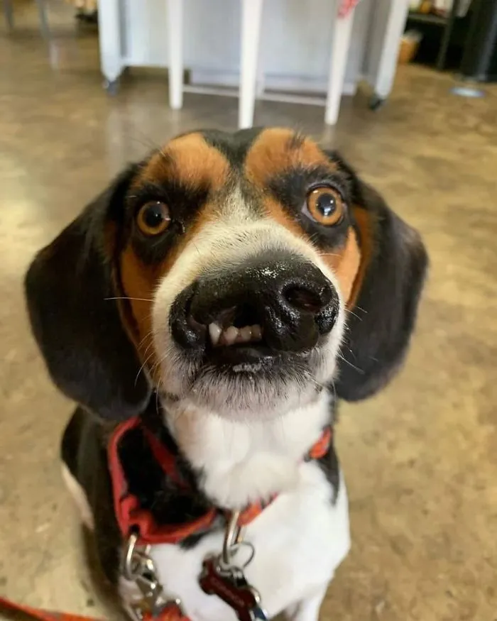 His Name Is Connor And He's Precious