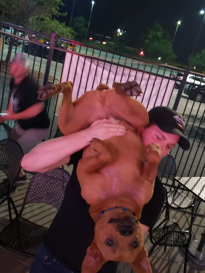 Spotted Dog At Bar....owner Saved Him From Tijuana Mexico Off The Street And He Is The Happiest Dog I've Ever Seen Lol Such A Lover!
