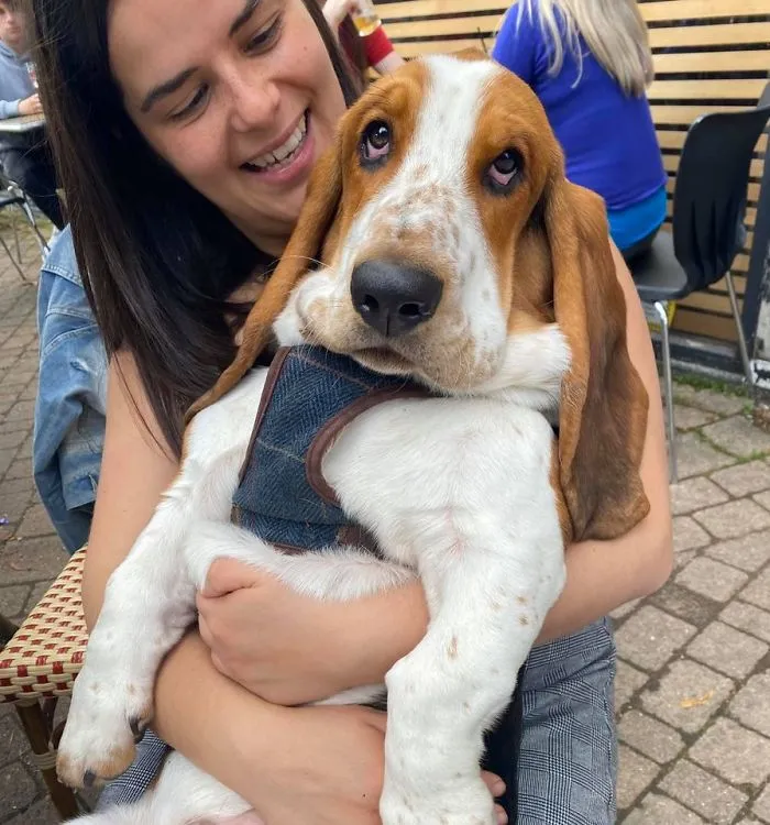 Angus, tiene 7 meses