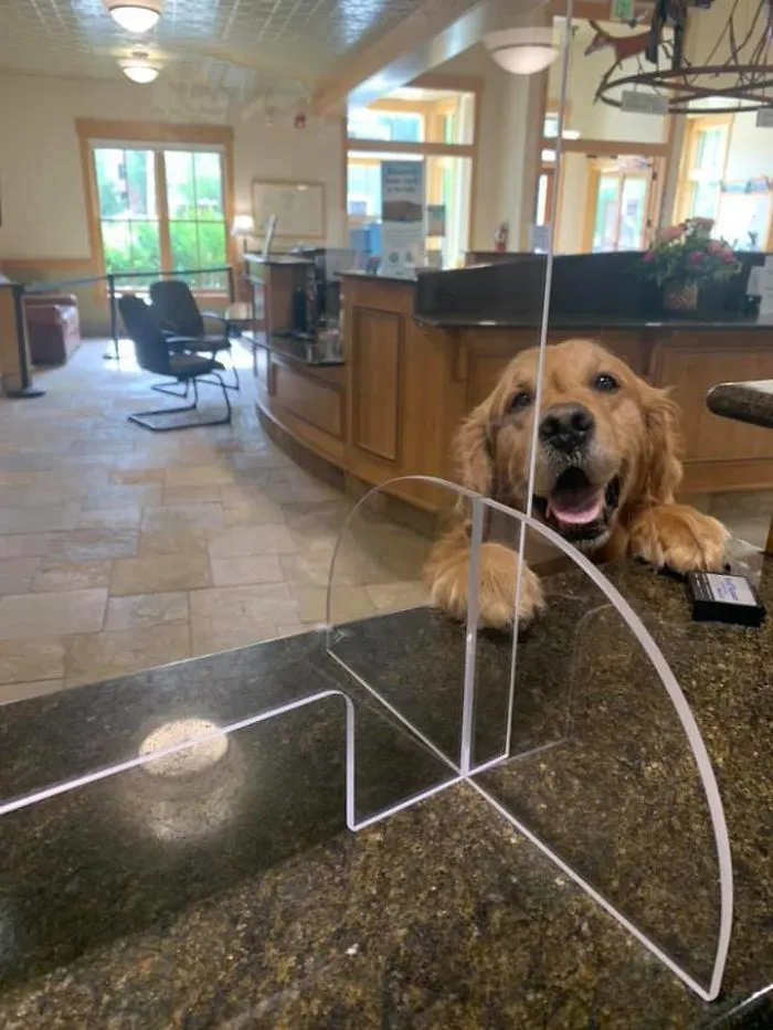 Yes Hello I Would Like To Withdraw All Available Treats