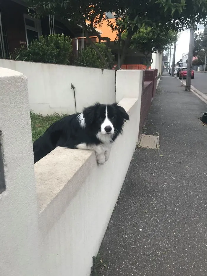 “Good Morning M’am“