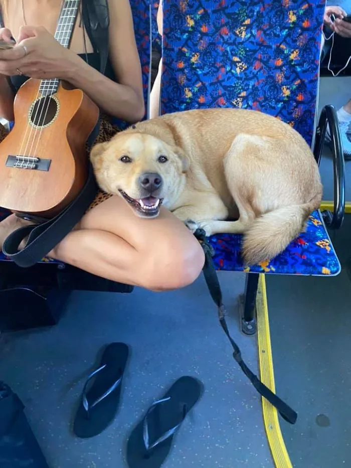 Sonriendo en el autobús