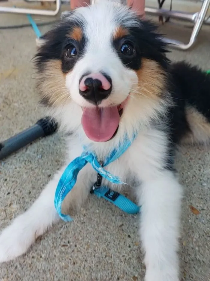 Tiene 3 meses nada más