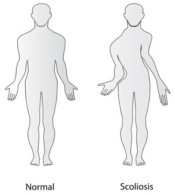 40 Of The Most Ridiculous 'Scientific' Diagrams You'll See That Beg The Question ‘What Were They Thinking?'