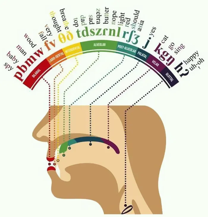 40 Of The Most Ridiculous 'Scientific' Diagrams You'll See That Beg The Question ‘What Were They Thinking?'