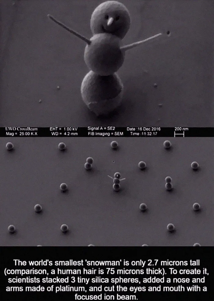 40 Of The Most Ridiculous 'Scientific' Diagrams You'll See That Beg The Question ‘What Were They Thinking?'