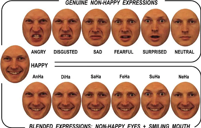 40 Of The Most Ridiculous 'Scientific' Diagrams You'll See That Beg The Question ‘What Were They Thinking?'