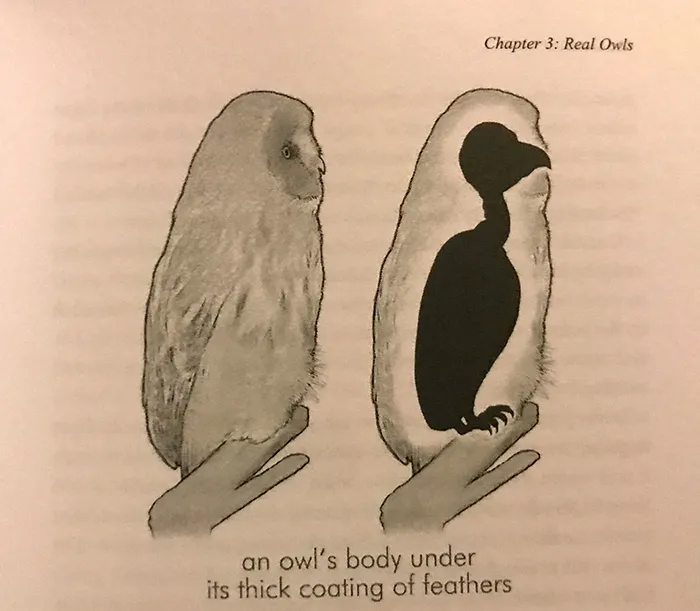 40 Of The Most Ridiculous 'Scientific' Diagrams You'll See That Beg The Question ‘What Were They Thinking?'