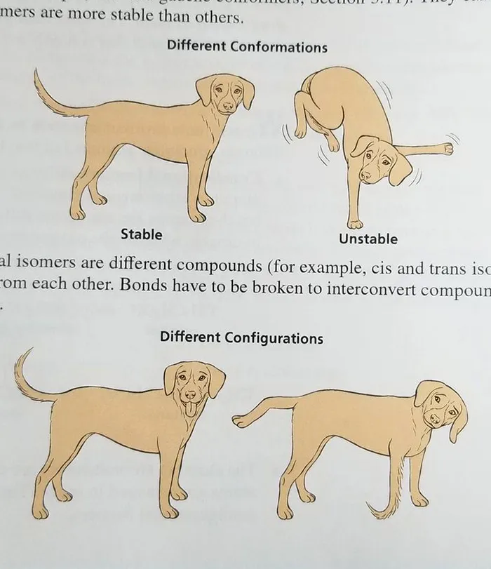 40 Of The Most Ridiculous 'Scientific' Diagrams You'll See That Beg The Question ‘What Were They Thinking?'