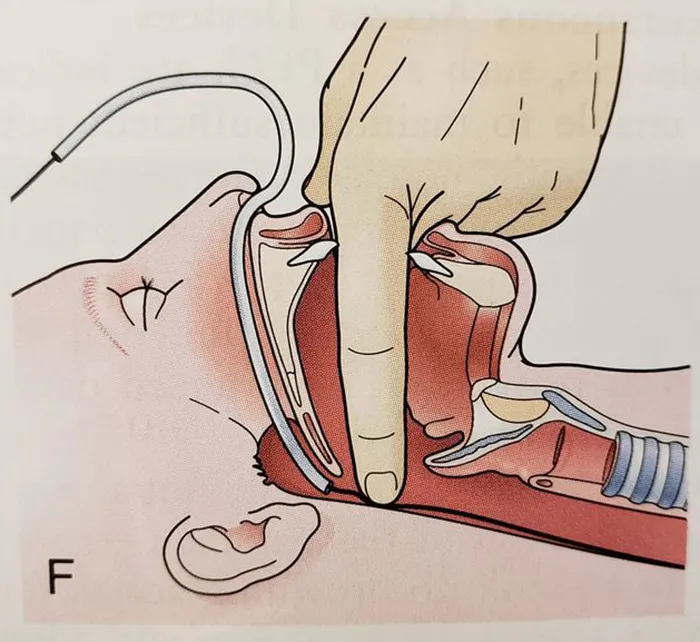 40 Of The Most Ridiculous 'Scientific' Diagrams You'll See That Beg The Question ‘What Were They Thinking?'