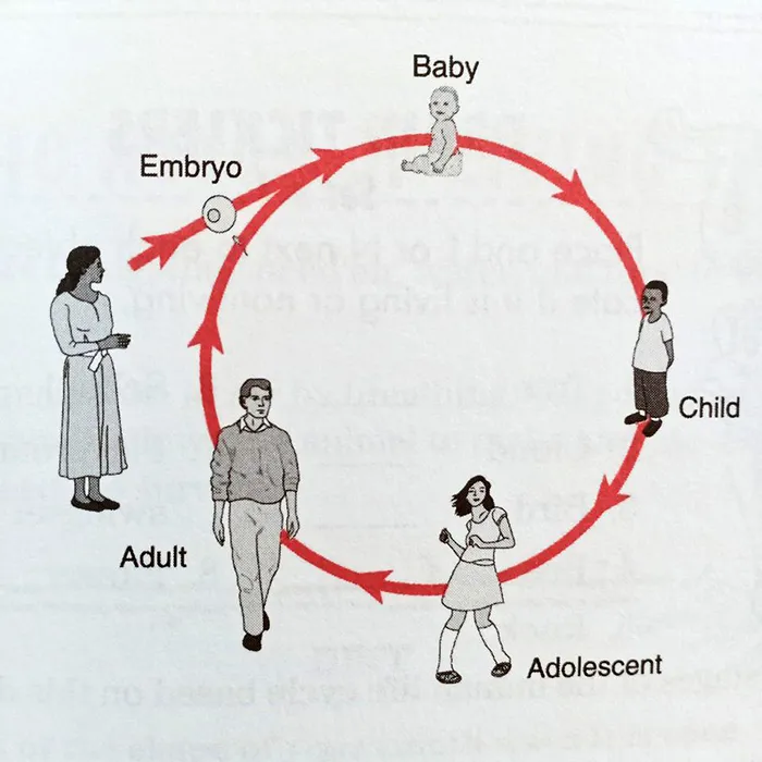 40 Of The Most Ridiculous 'Scientific' Diagrams You'll See That Beg The Question ‘What Were They Thinking?'