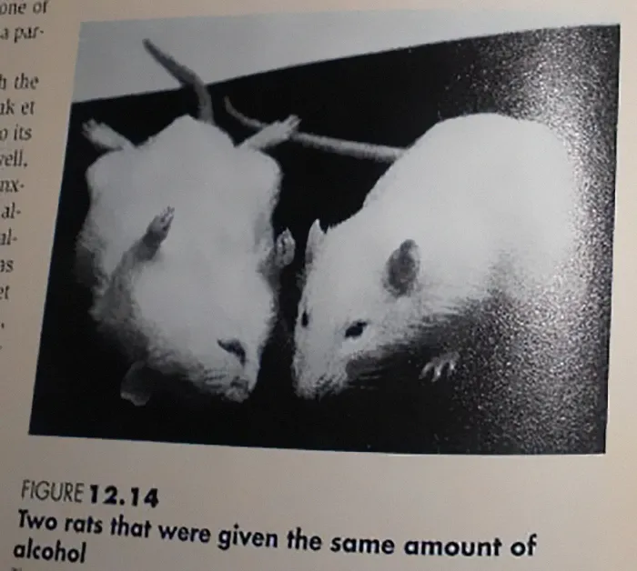40 Of The Most Ridiculous 'Scientific' Diagrams You'll See That Beg The Question ‘What Were They Thinking?'