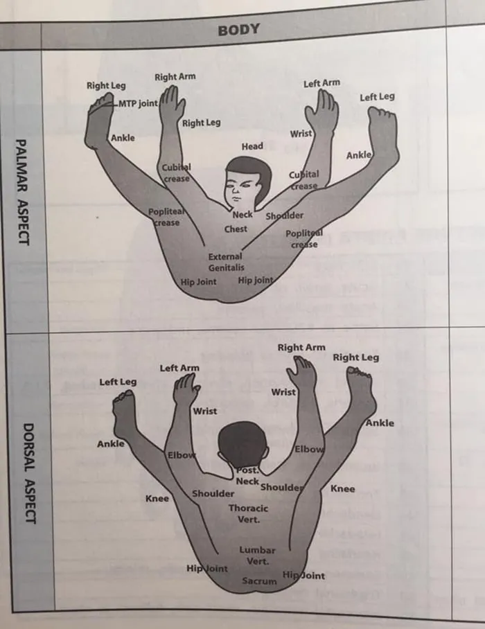 40 Of The Most Ridiculous 'Scientific' Diagrams You'll See That Beg The Question ‘What Were They Thinking?'