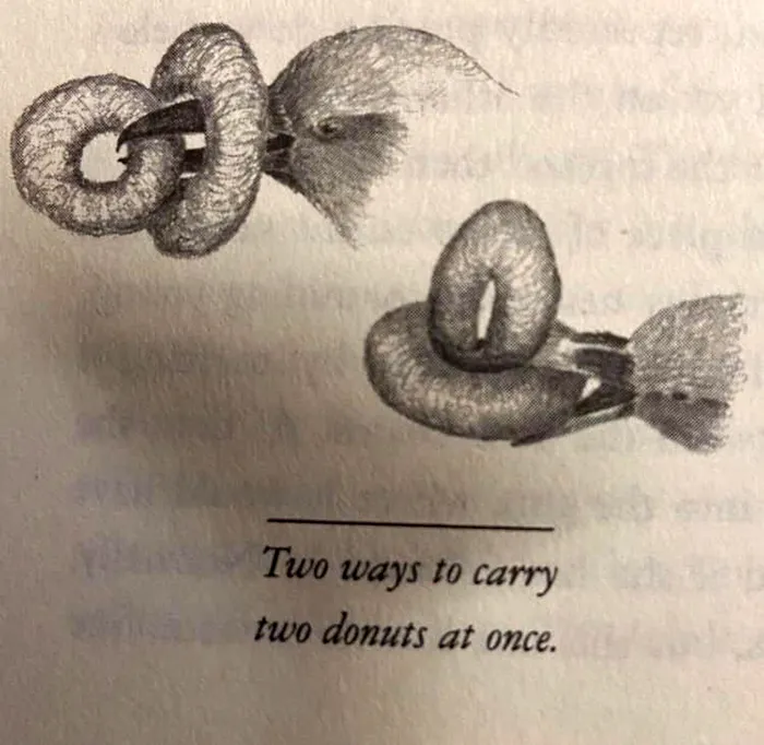 40 Of The Most Ridiculous 'Scientific' Diagrams You'll See That Beg The Question ‘What Were They Thinking?'