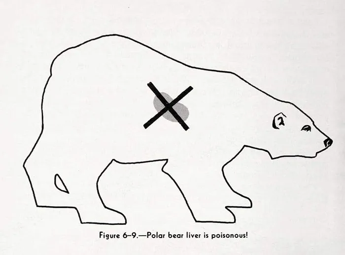 40 Of The Most Ridiculous 'Scientific' Diagrams You'll See That Beg The Question ‘What Were They Thinking?'