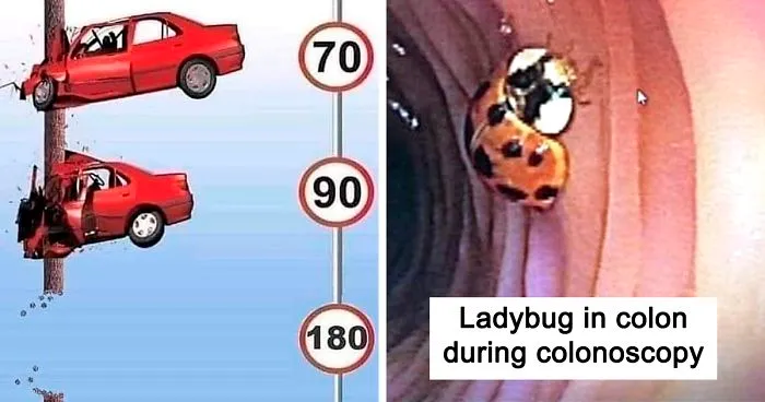 40 Of The Most Ridiculous 'Scientific' Diagrams You'll See That Beg The Question ‘What Were They Thinking?'