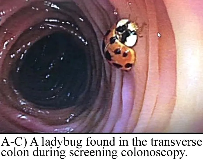 40 Of The Most Ridiculous 'Scientific' Diagrams You'll See That Beg The Question ‘What Were They Thinking?'