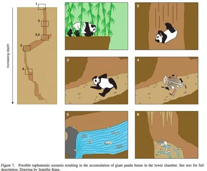 40 Of The Most Ridiculous 'Scientific' Diagrams You'll See That Beg The Question ‘What Were They Thinking?'
