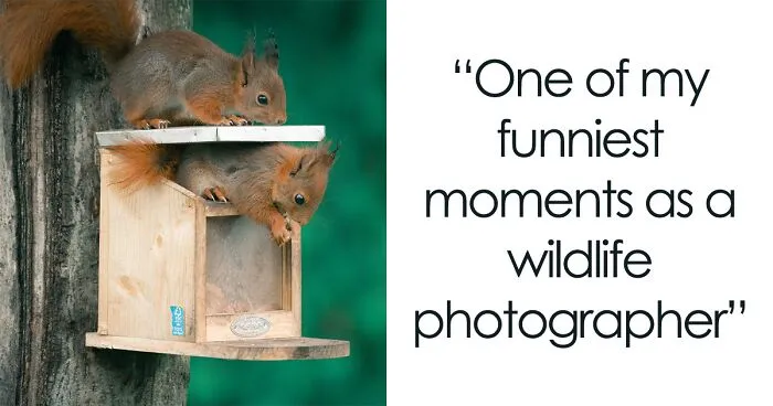 To Spread Some Joy, I Photograph Squirrels Playing In My Garden