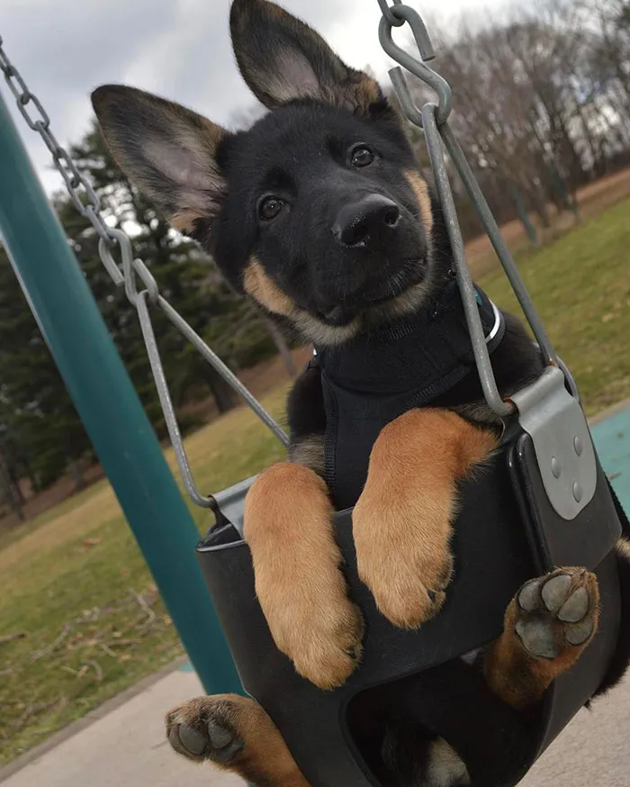Play Date At The Park