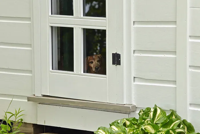 30 Postal Workers On Reddit Reveal The Things They Wish Customers Did