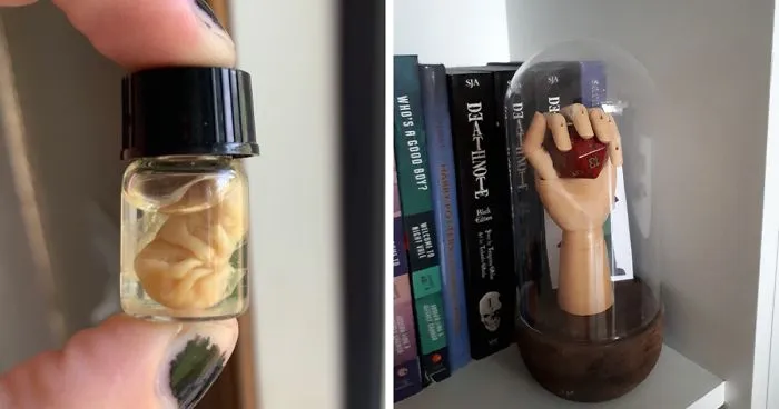 Hey Pandas, What Is The Weirdest Thing You Own? (Closed)