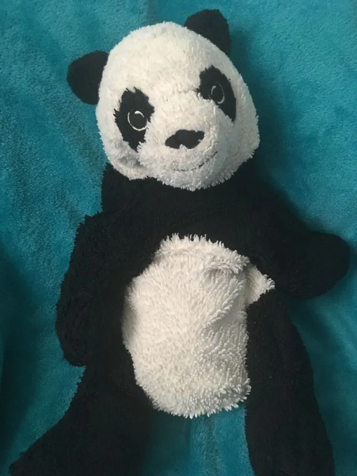 Meet Panda. I’ve Had Her For Ages And Went Crazy When She Got Lost. Luckily I Found Her Again