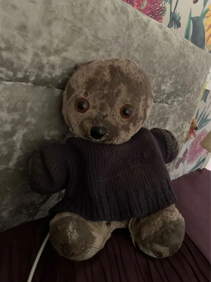 This Is Ted2 As Ted1 Was Eaten By A Swan. I’m 31 And I’ve Had Him Since I Was 2. I Love Him!