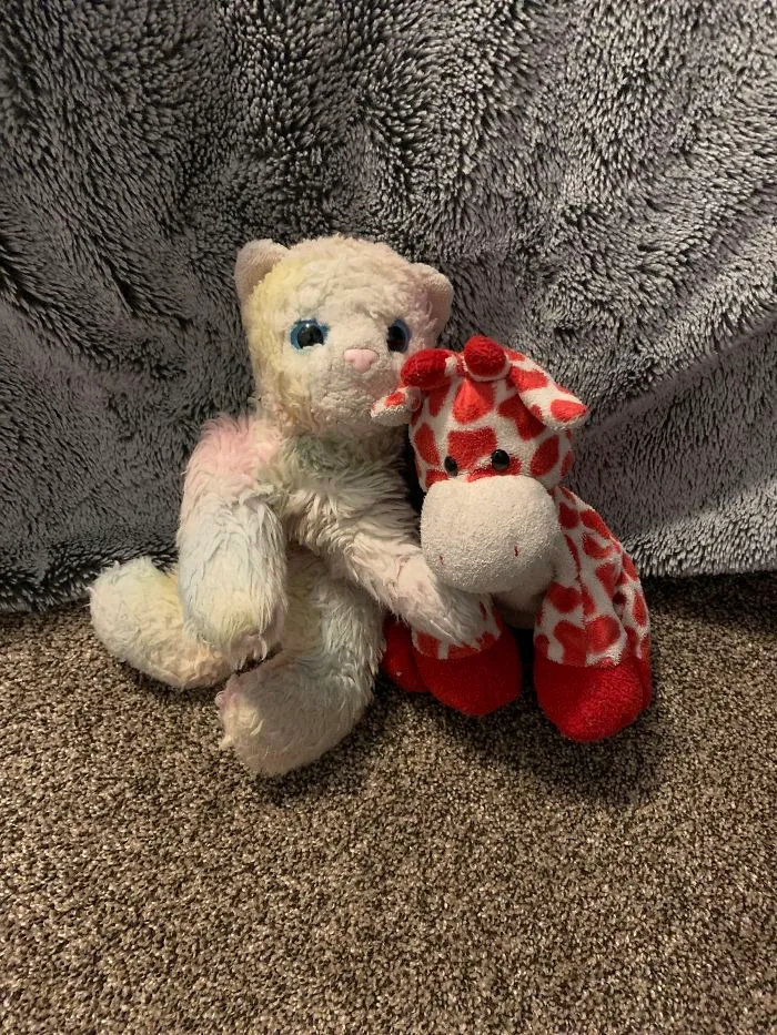 These Two Are Named Wolfie (Left) And Giraffe (Right). I Have Had Them Since Birth And Wolfie Used To Be Bright Rainbow Colored. He Was Named After The Cat From Barbie Princess And The Pauper. I Love Them And Sleep With Them Every Night!
