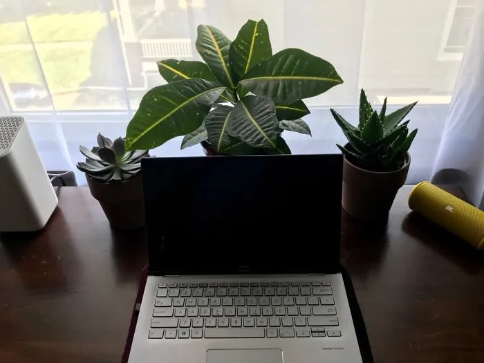 Moved Across Country To Start School Remotely. These Are Giving Me A Little Hope To Get Me By