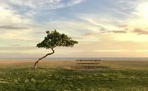 2020 iPhone Photography Award Winners Once Again Proved That Striking Photos Can Be Taken Without An Expensive Camera (45 Pics)