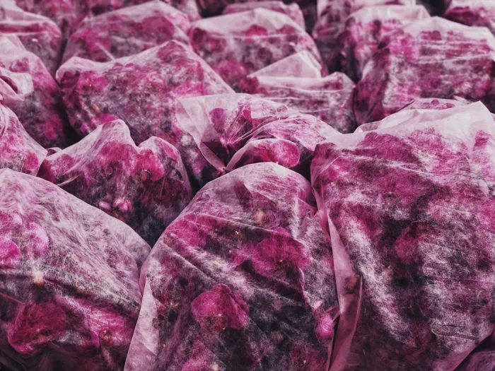 Floral: Third Place, 'Untitled', By Hao Wen