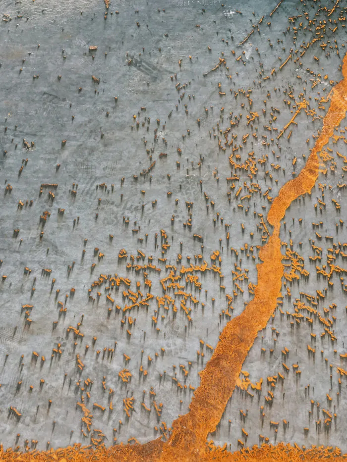 Abstract: First Place, 'Splattered Paint', Shanghai, China By Tu Odnu
